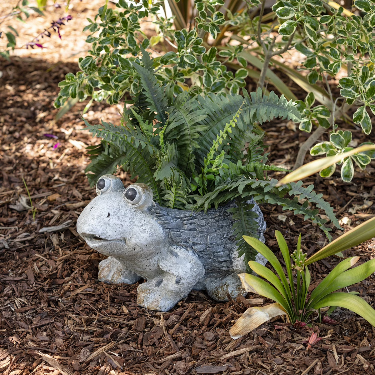 Ceramic Frog Planter, Gray N637