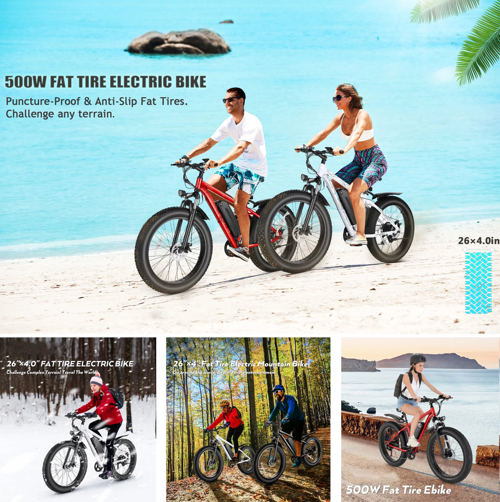 500W 26" Fat Tire Electric Mountain Bike F554