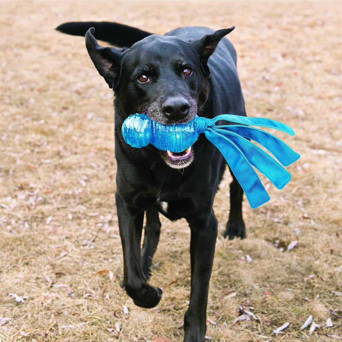 Dog Toy D5134