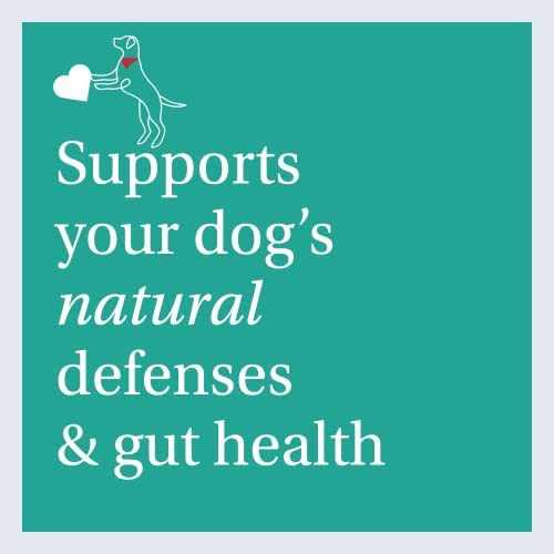 Dental Sticks Dog Dental Chews Z46536
