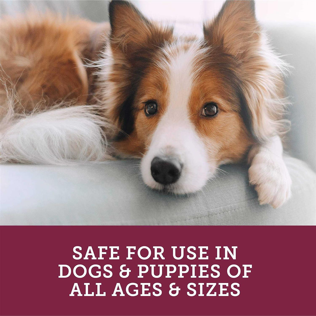 Stop the Runs Chewables for Dogs O16658