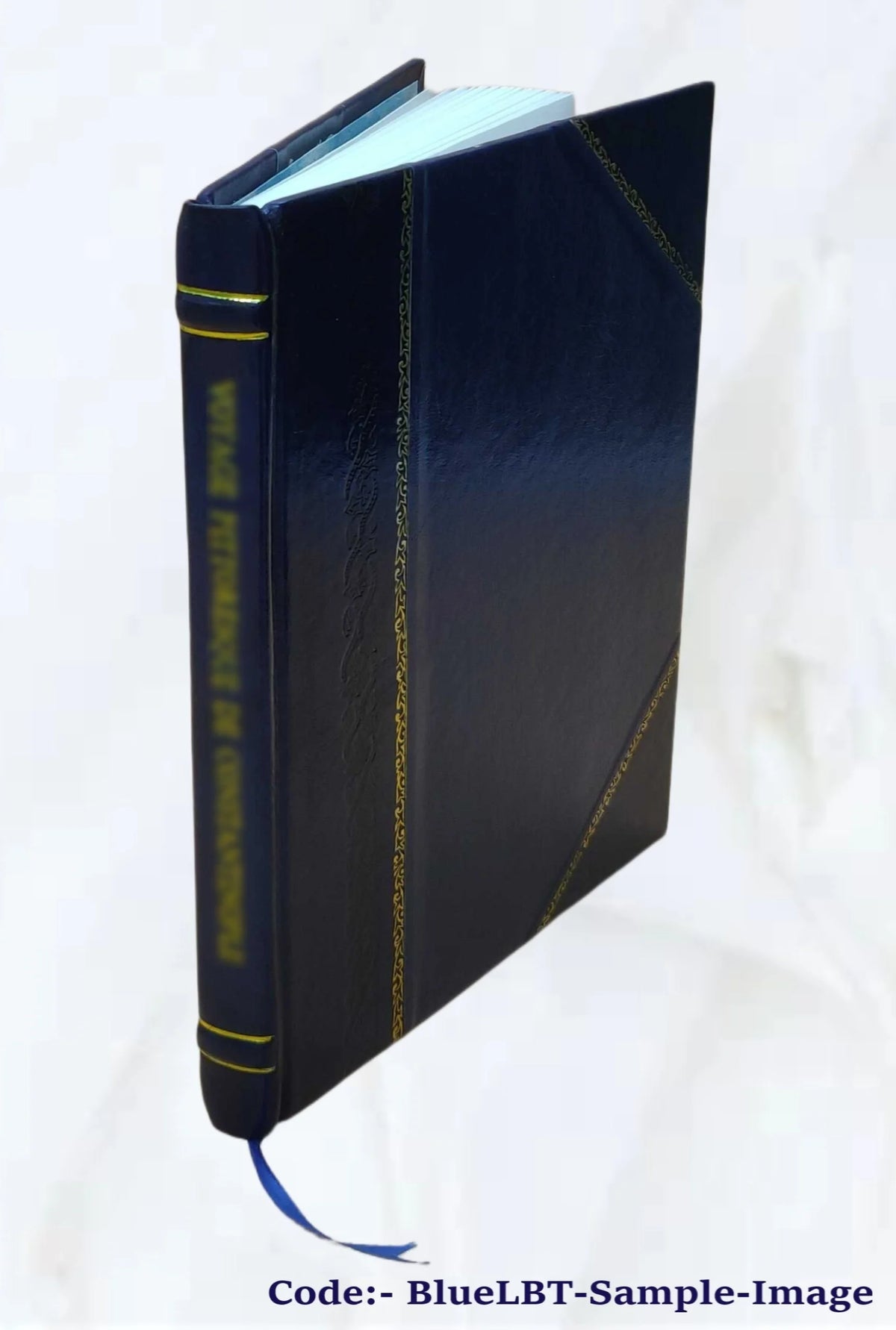 Norse discovery of America historical thesis 1901 Leather Bound O790116