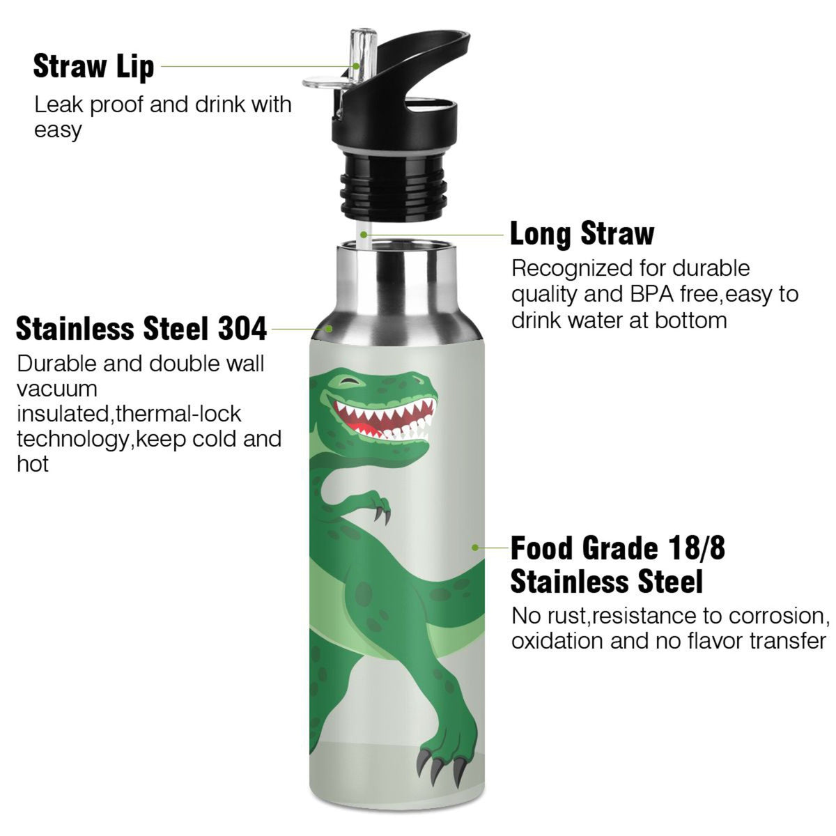 Stainless Steel Vacuum Insulated Water Bottle with Straw Lid 20 OZ N795
