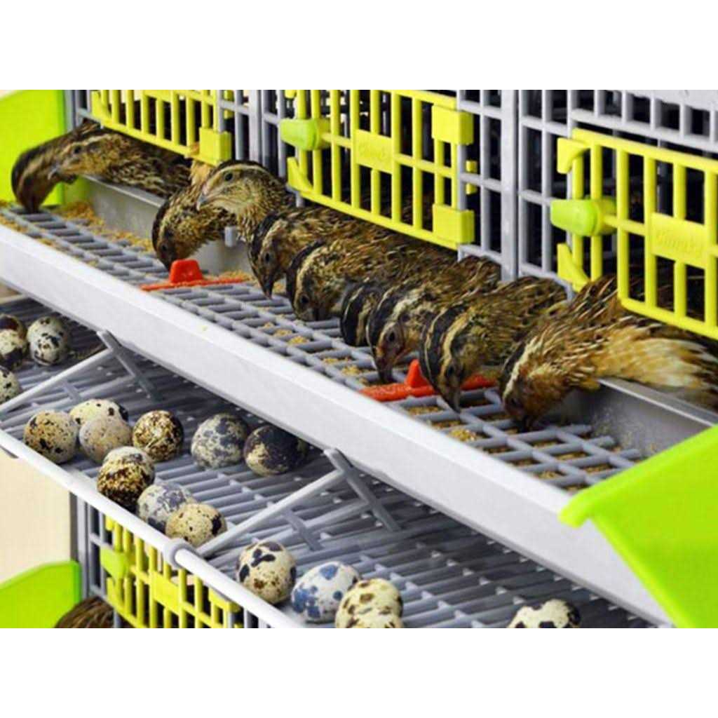 3 Layer Stackable Quail Breeding Cage C83722