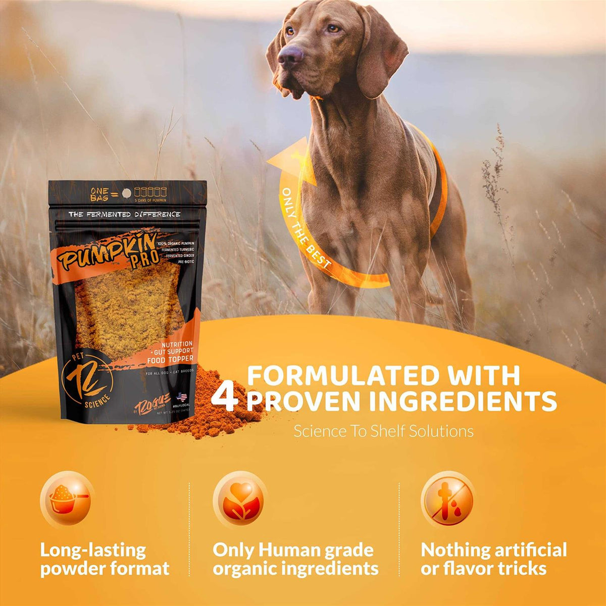 Pumpkin Dog Food Topper N3337
