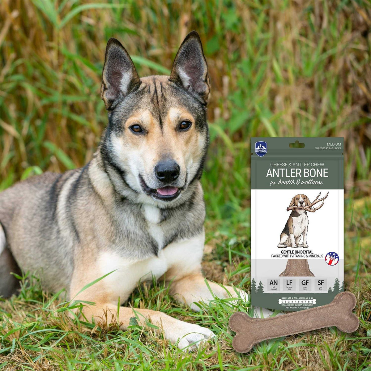 Antler Bone Dog Chew Y4568