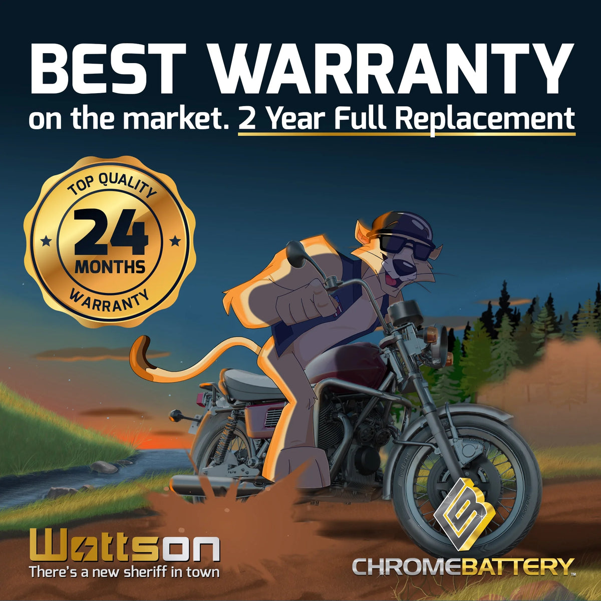 12 Volt 10 Ah 180 CCA Motorcycle Battery Z383