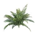 14 inch River Fern Set of 12, Green K347103