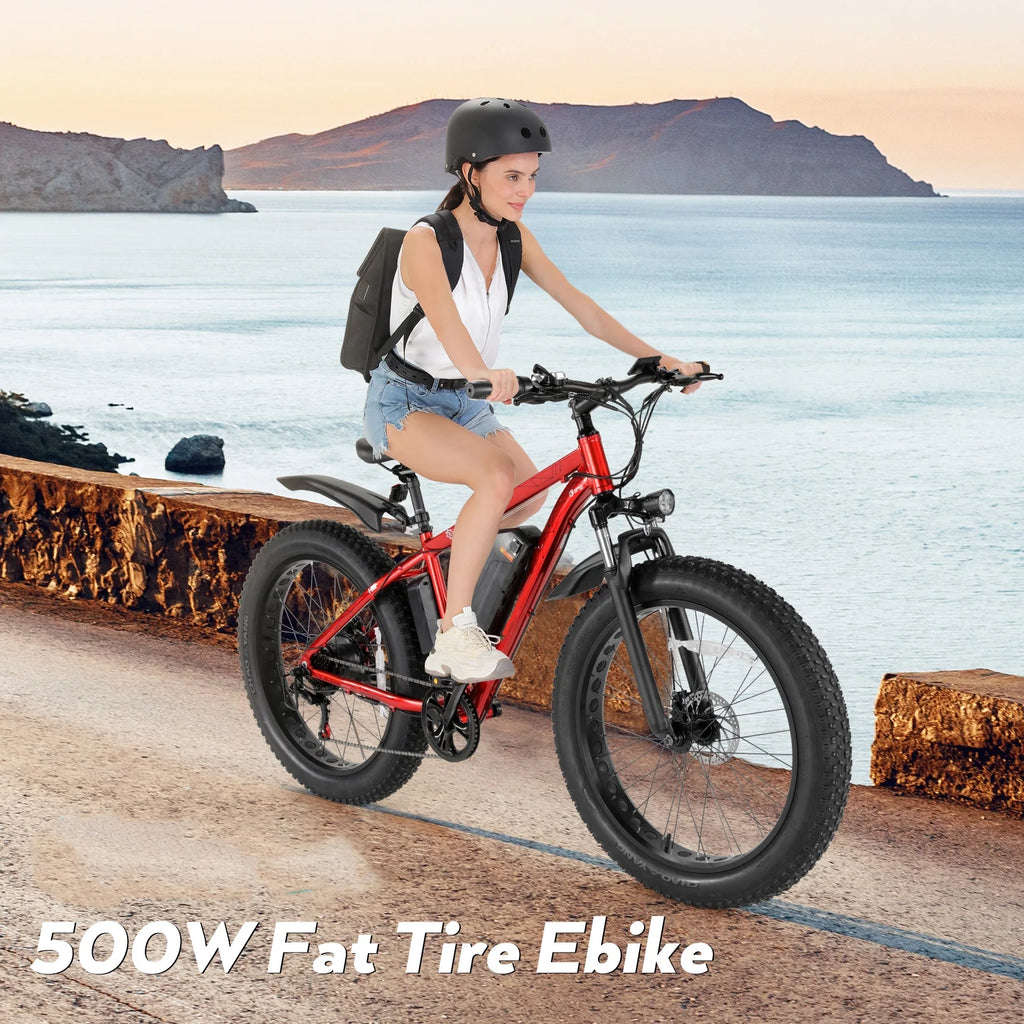 500W 26" Fat Tire Electric Mountain Bike F554