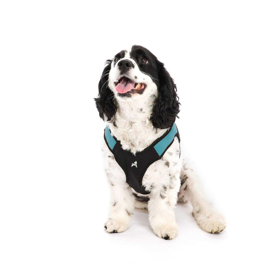 Dog Harness R86880