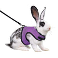 Adjustable Soft Harness with Elastic Leash for Rabbits C5220