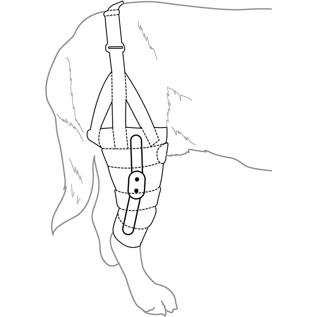 Dog Knee Brace H6523