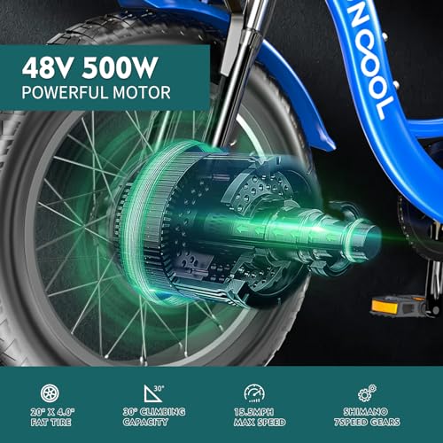 20" x 4" Fat Tire 48V 500W 3 Wheels 7 Speed Electric Tricycle with Removable Battery C159215
