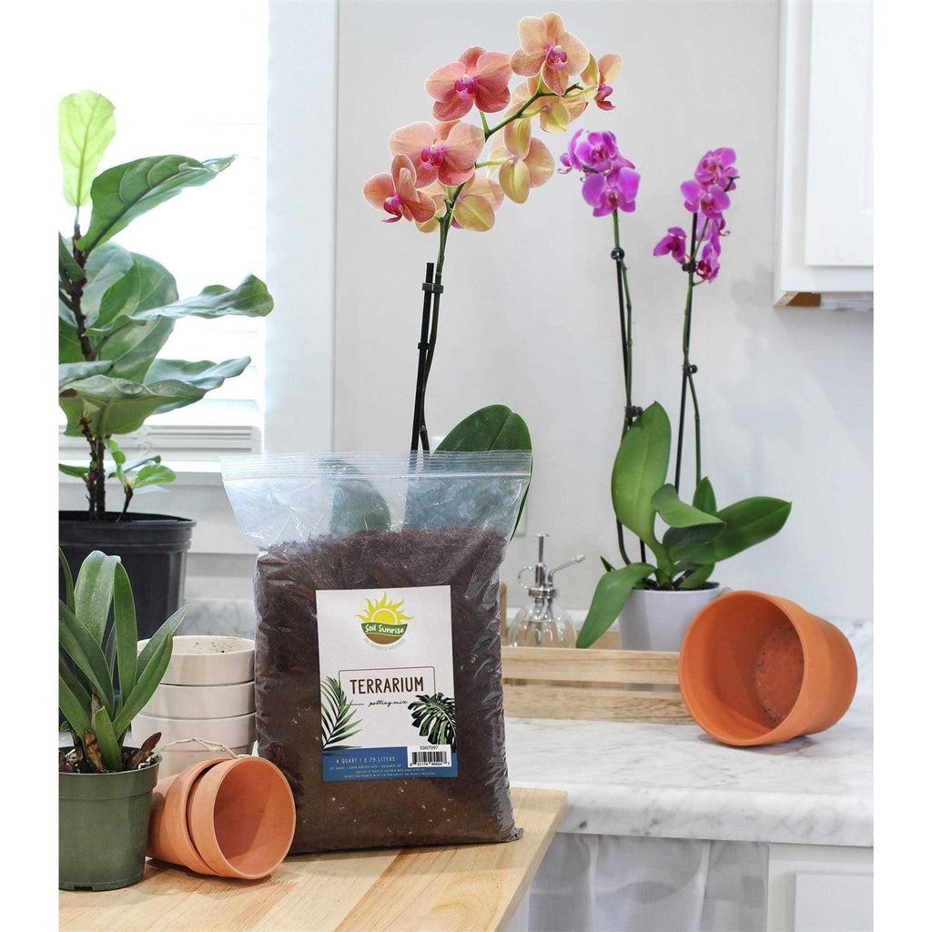 Terrarium Potting Soil Mix N4400