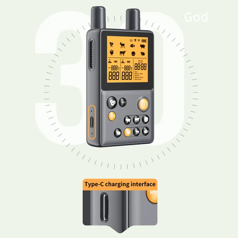 Instant Oven Meat Thermometer with Two Probes A16171