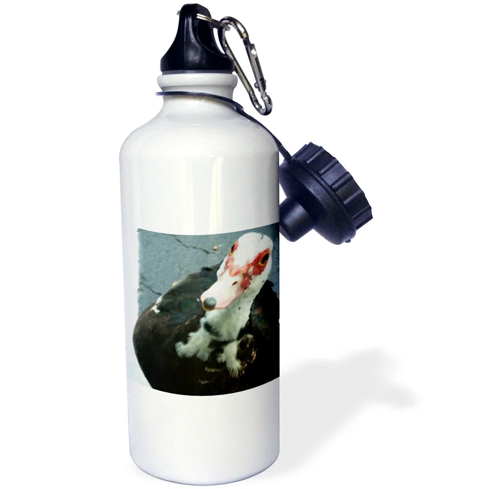 21 oz Sports Water Bottle K359434
