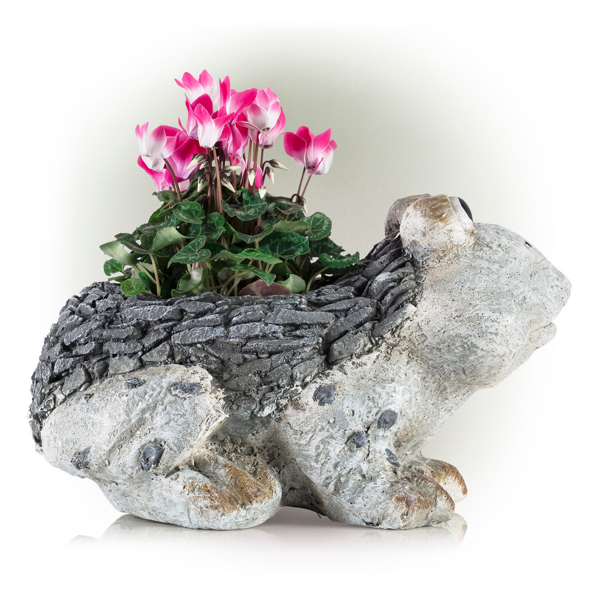 Ceramic Frog Planter, Gray N637