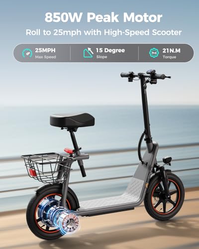 Electric Scooter with Seat, Front Suspension, Turn Signal C302