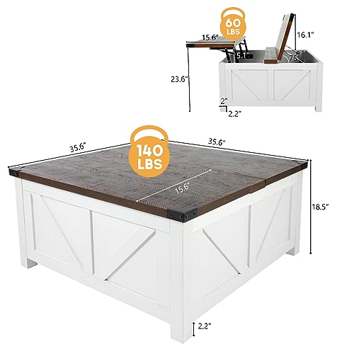 Brown Wood Lift Top Coffee Table with Storage and USB Port S69093