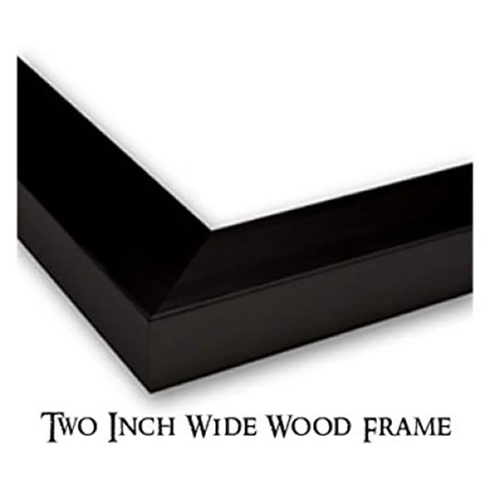 Black Modern Framed Museum Art Print U91777