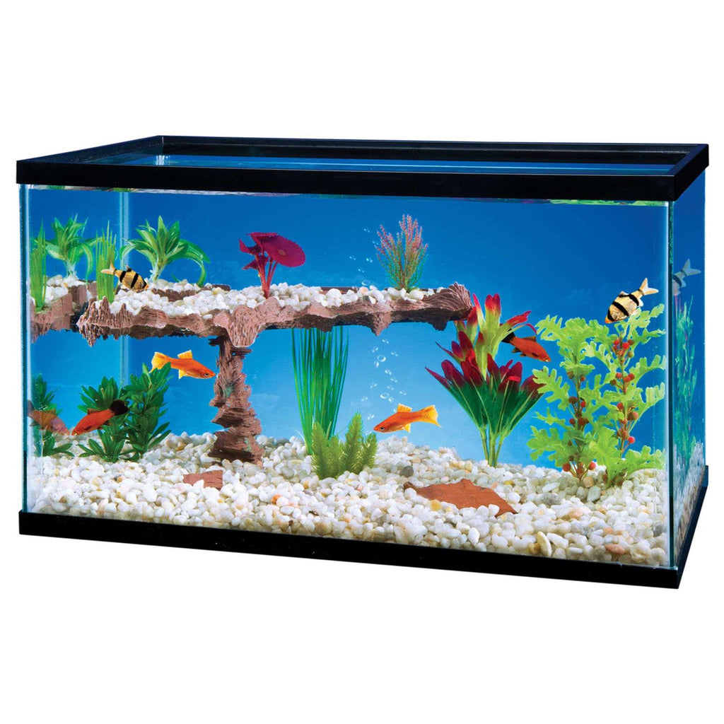 Aquarium Shelf System V30536