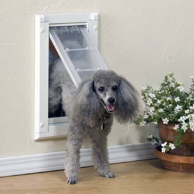 Single Flap Wall Mount Pet Door T872