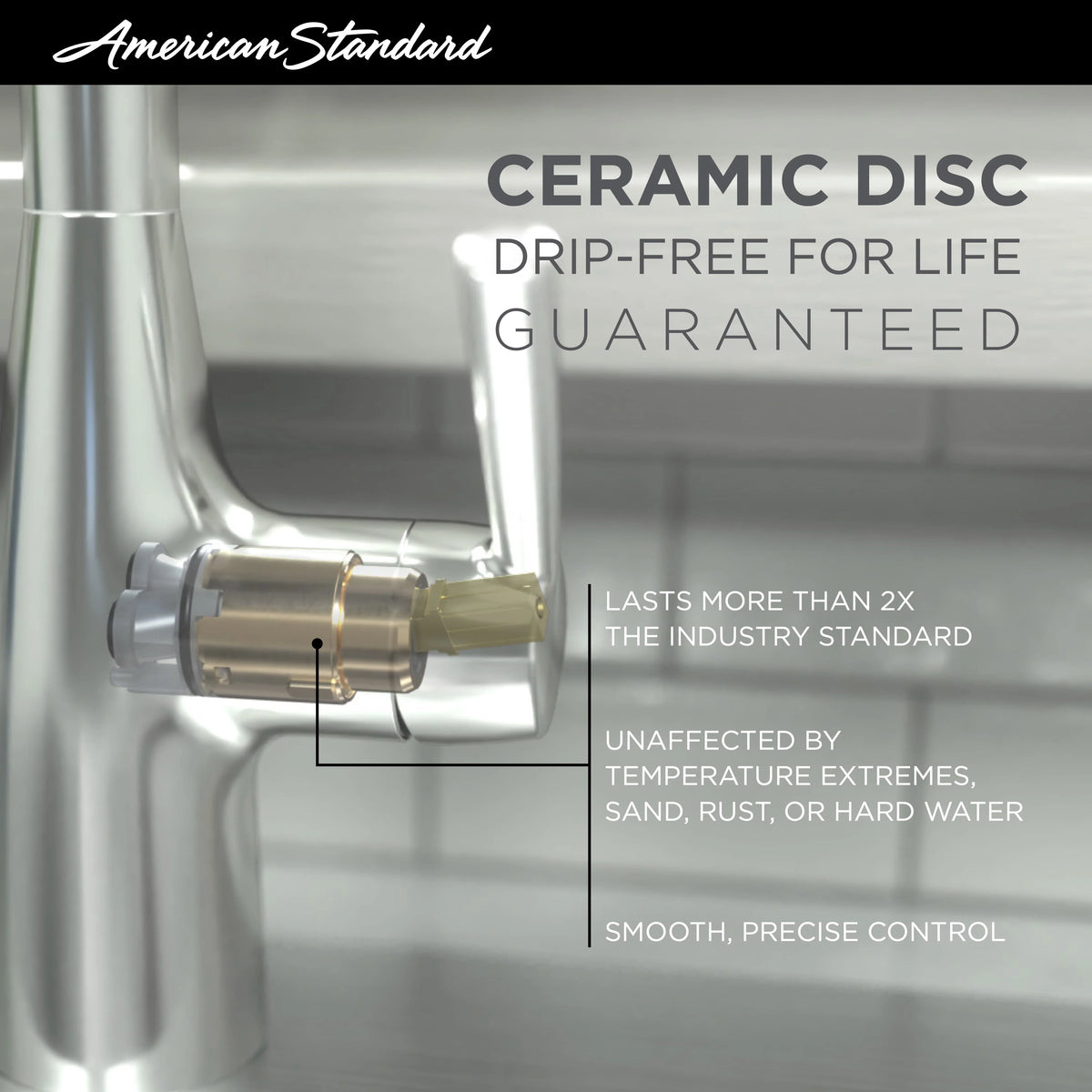 Single-Handle Kitchen Faucet in Polished Chrome E130841