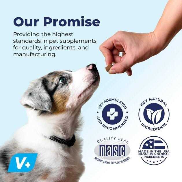 Vet Strength Chew F15022