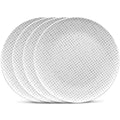 Grey Set of 4 Dinner Plates J788