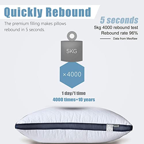 King Size Bed Pillows Set of 2 W94955