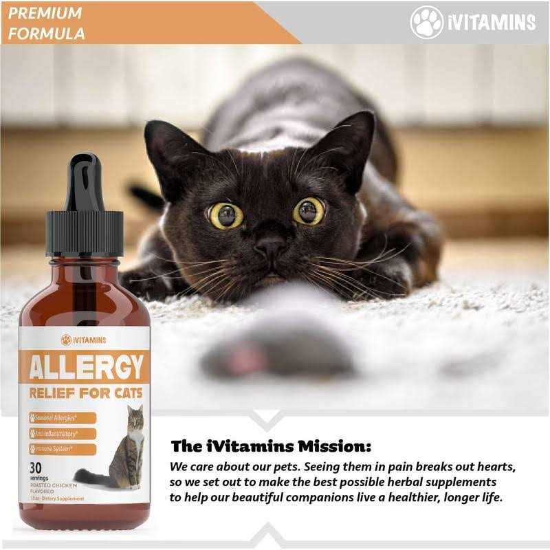 Allergy Relief for Cats F1938