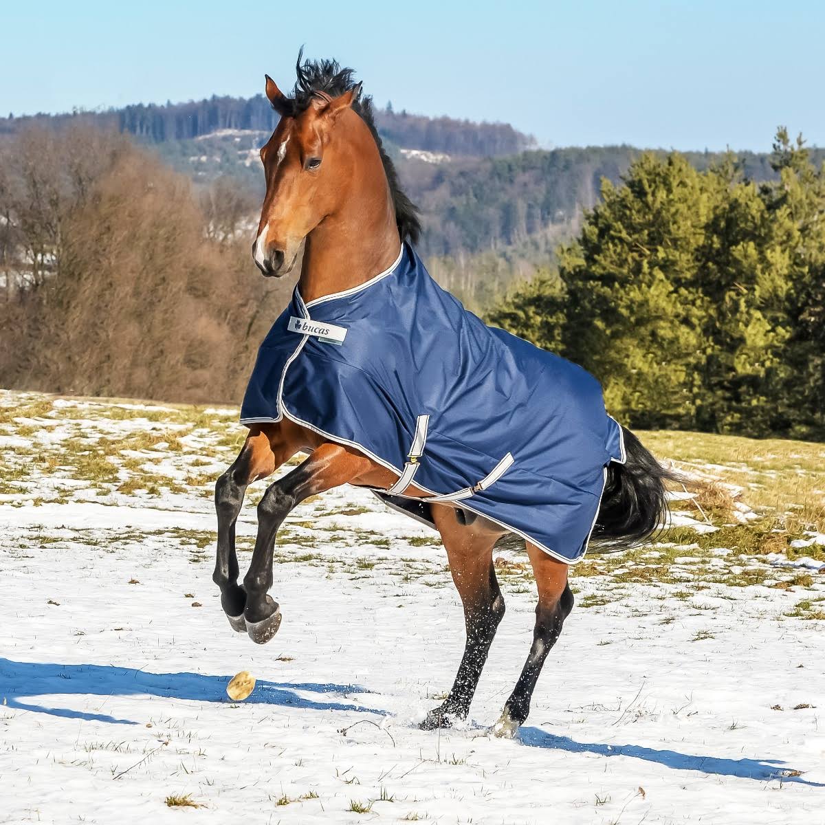 Navy 300g Turnout P6305