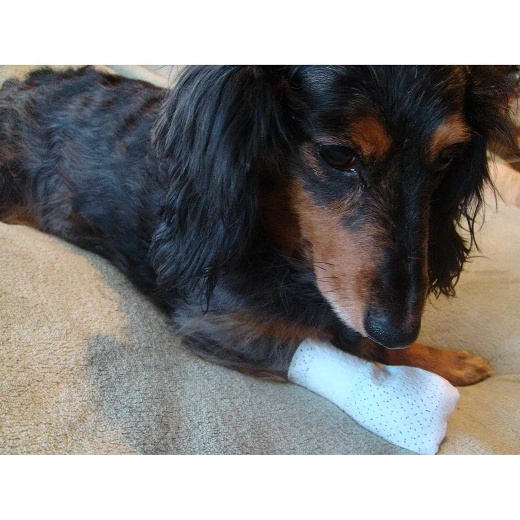 Dog Cat Medical Booties K9290