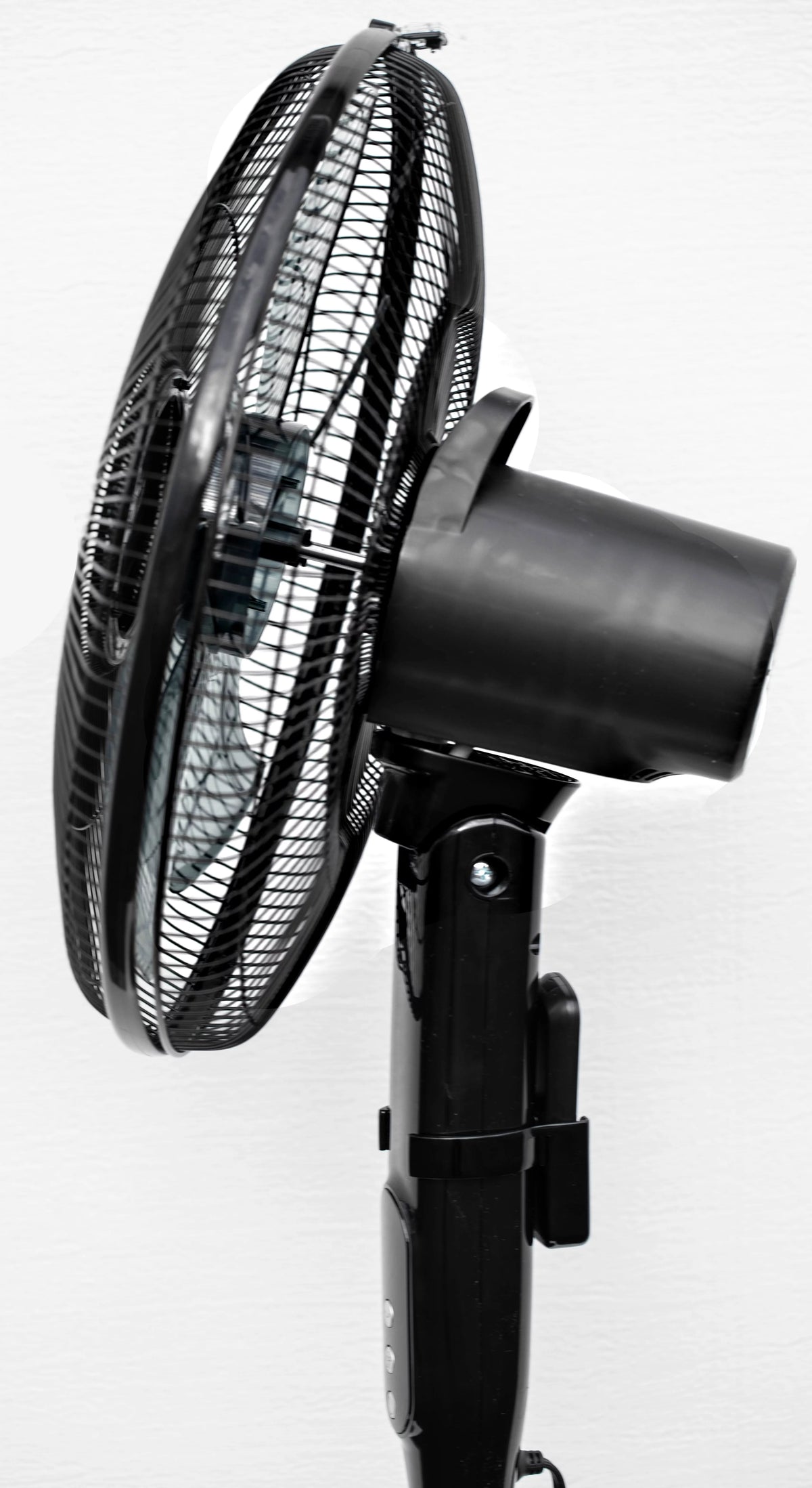 16 12-Speed Adjustable Height Quiet Pedestal Fan with Digital Display & Remote Control, Black N116492