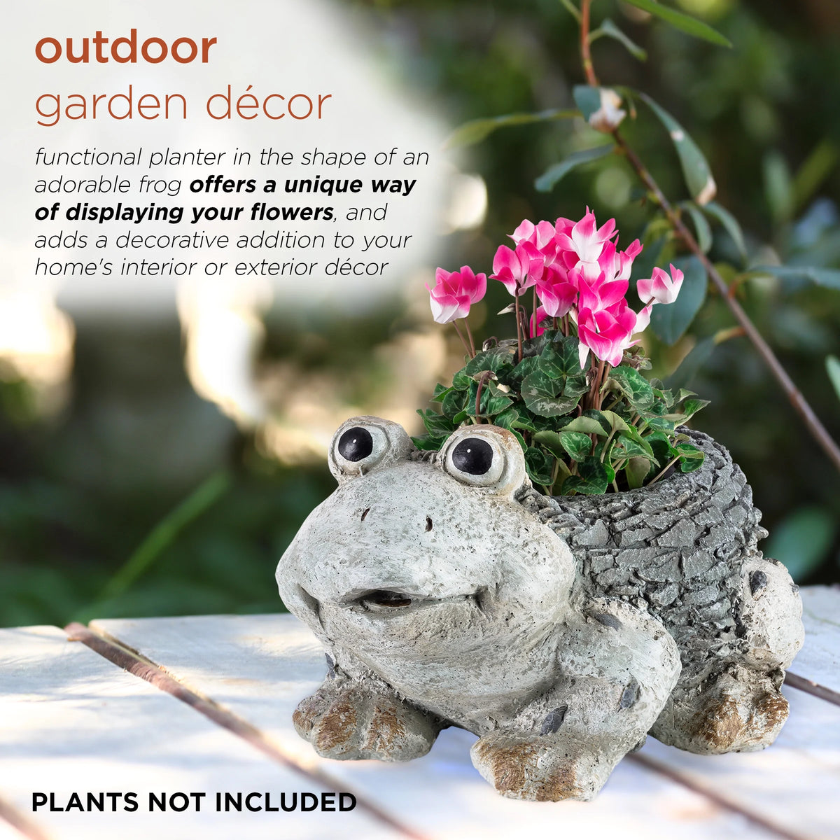 Ceramic Frog Planter, Gray N637