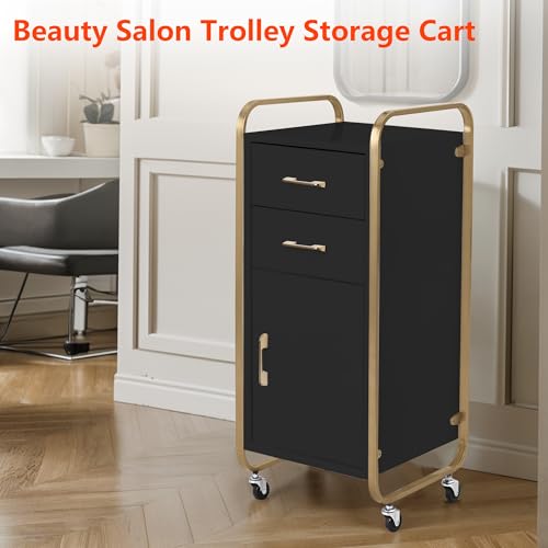 Salon Storage Trolley Cart with Wheels Q34025