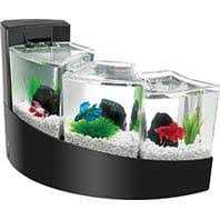 Betta Fish Tank U280