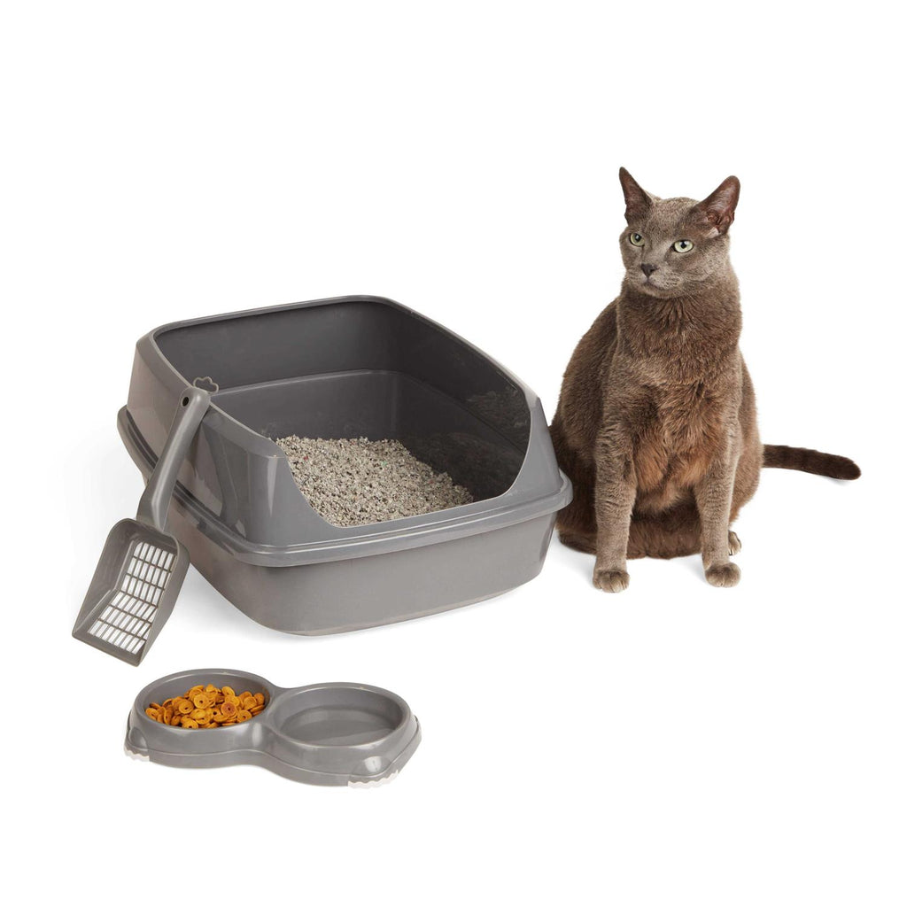 Grey Litter Box Starter Bundle N739118