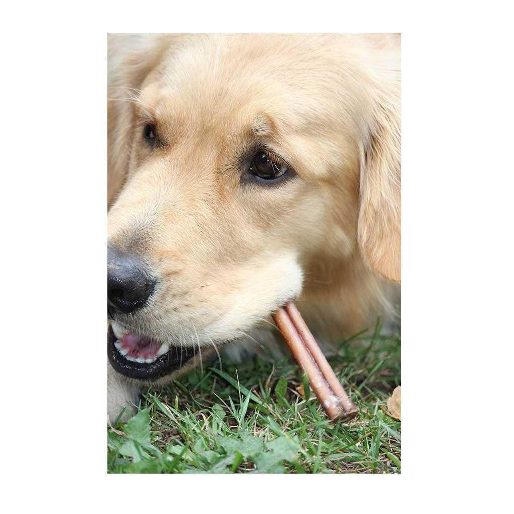 Bully Sticks For Medium Dogs M72209