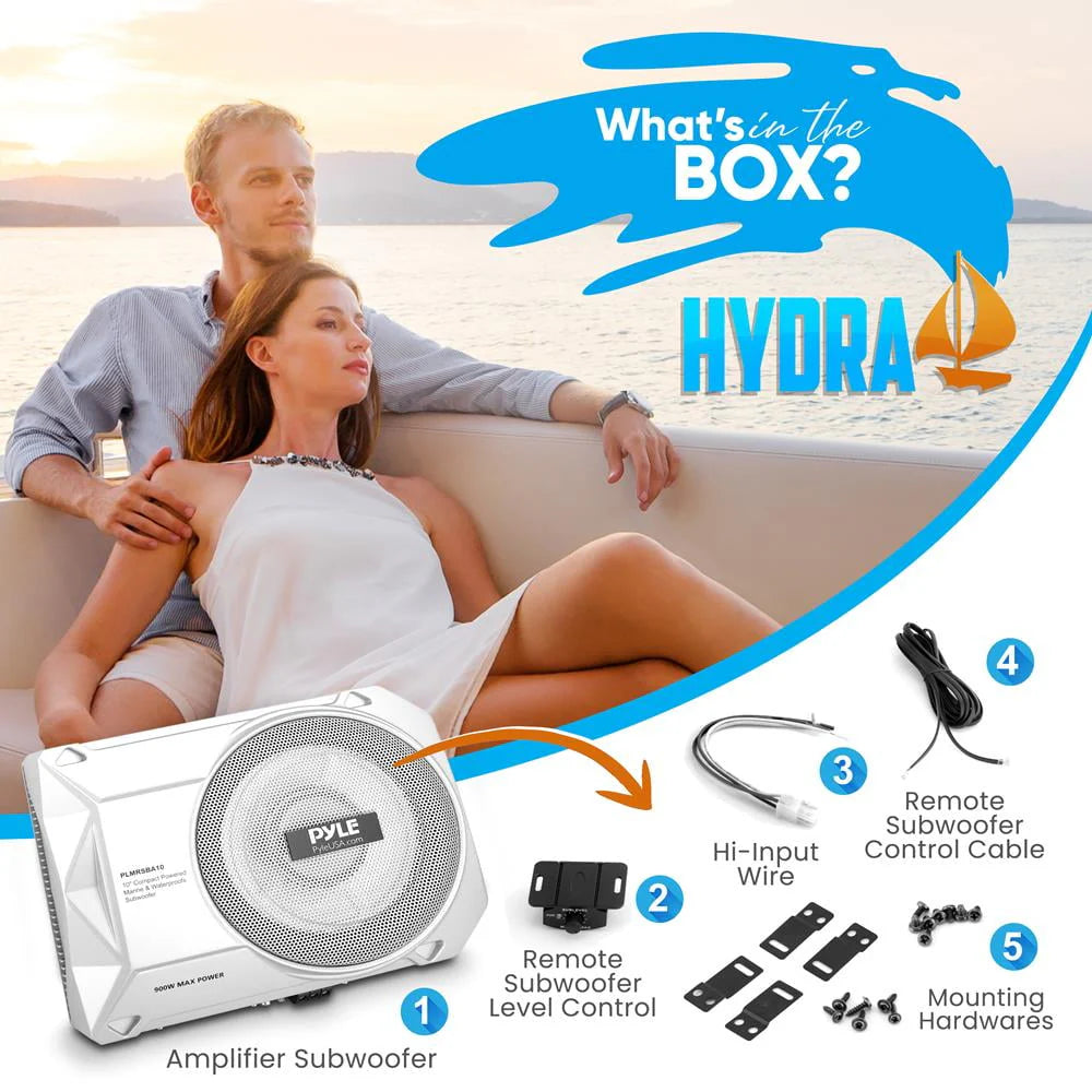 10-Inch Low-Profile Amplified Car Subwoofer W3841
