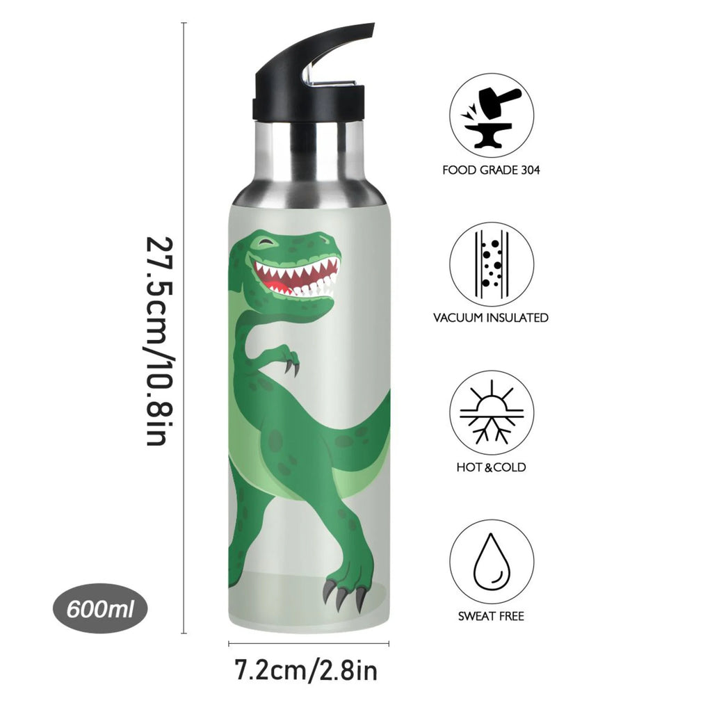 Stainless Steel Vacuum Insulated Water Bottle with Straw Lid 20 OZ N795