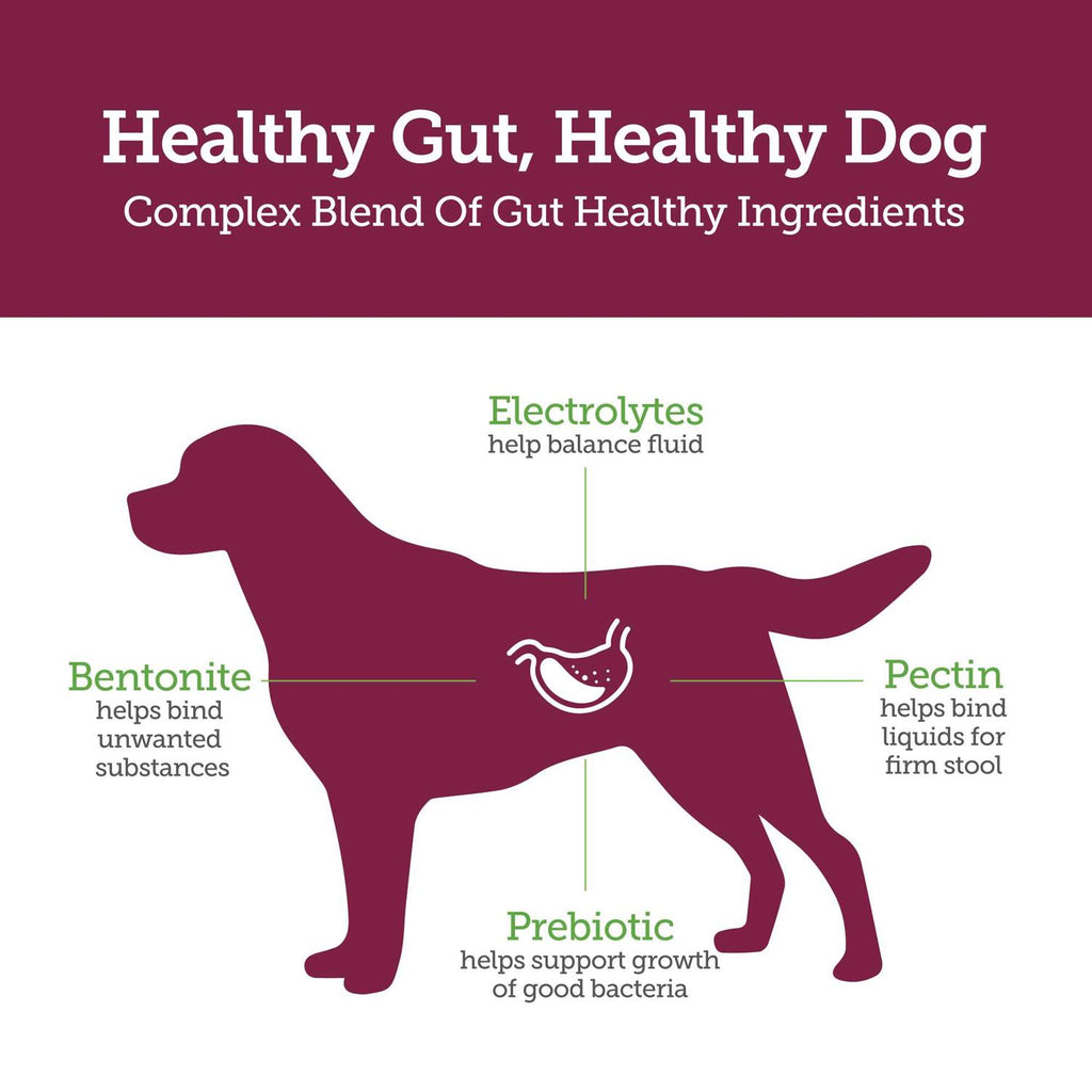 Stop the Runs Chewables for Dogs O16658
