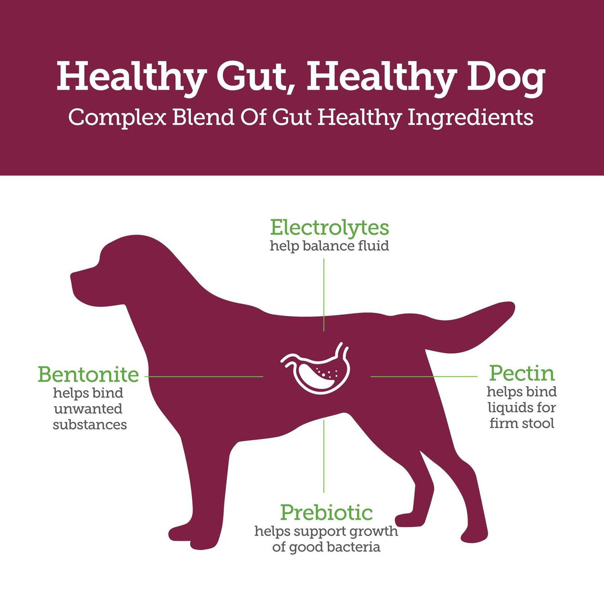 Stop the Runs Chewables for Dogs O16658