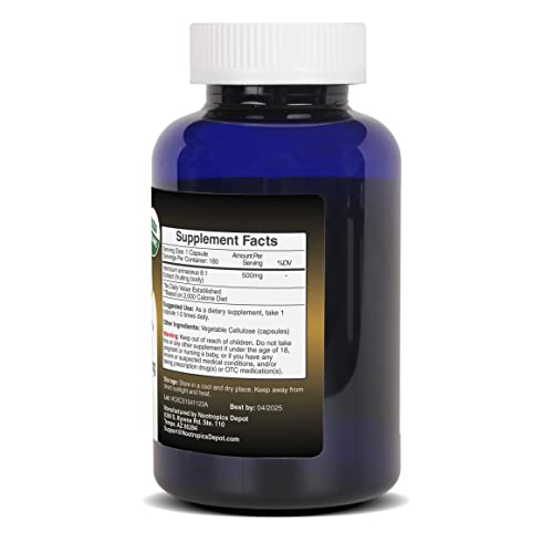 Lions Mane Mushroom Capsules 500mg 60 Count H1302