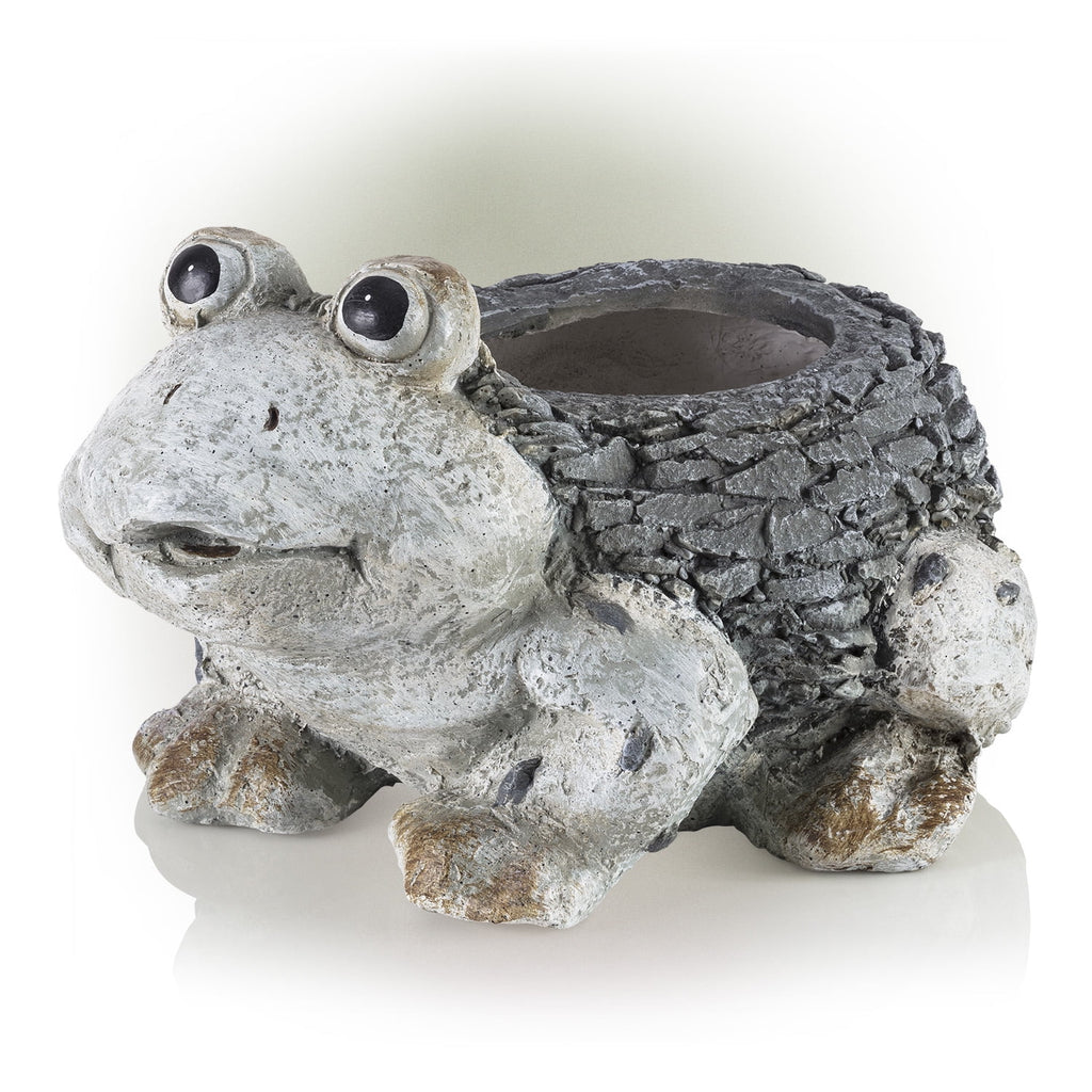 Ceramic Frog Planter, Gray N637
