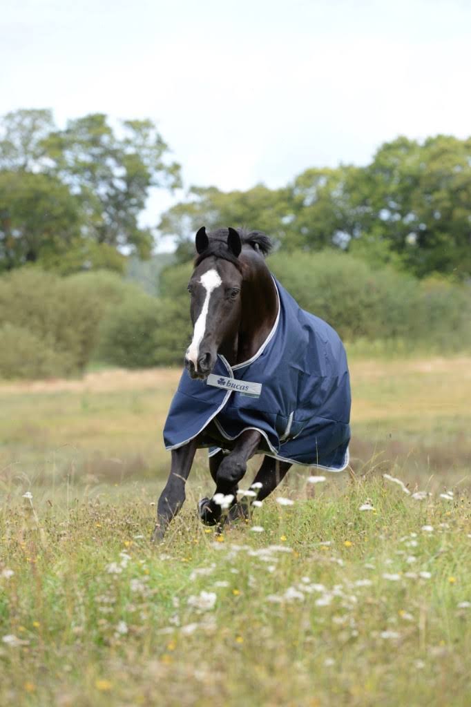 Navy 300g Turnout P6305