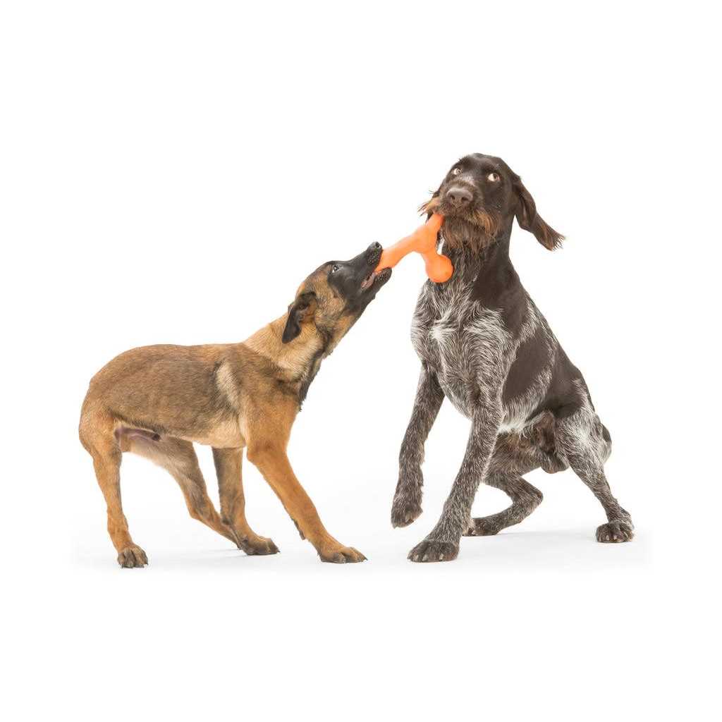 Dog Toy N56537