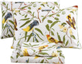Green Birds Percale Cotton Queen Bed Sheet Set 4 Pieces Deep Pocket 18 Inches K609