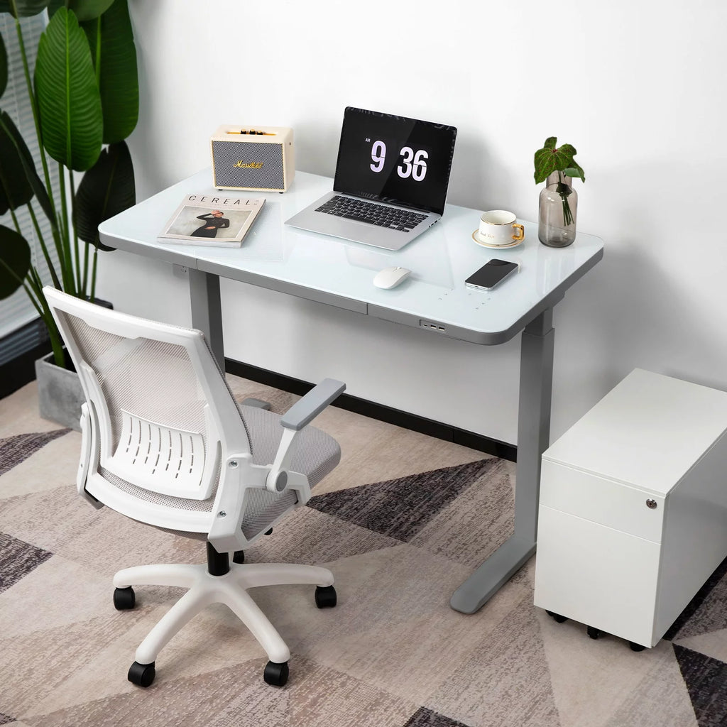 Gray Dual Motor Height Adjustable Desk with Drawer and Tempered Glass Top Z997483