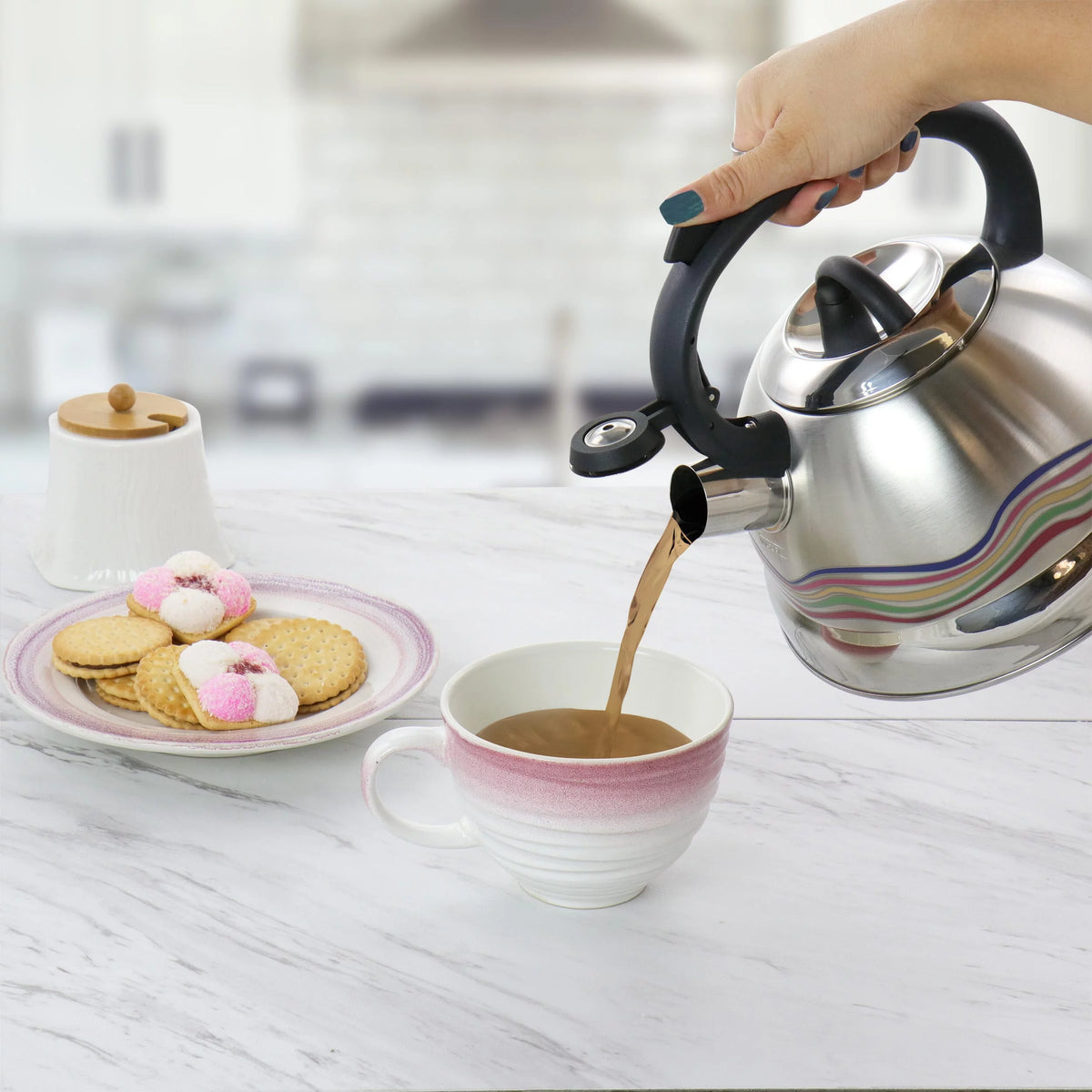 Stainless Steel Whistling Tea Kettle E6069